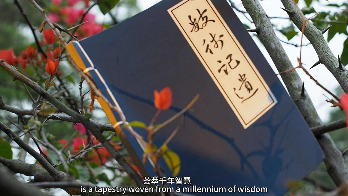 《古數華典》中的精美畫面.png